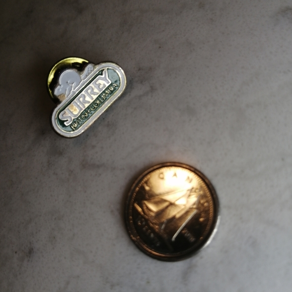 Vintage Surrey Pin - Picture 2 of 2